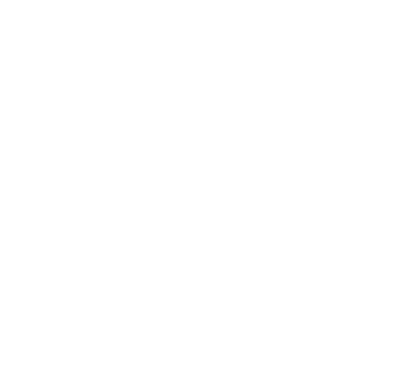 FORM Logo Circuit Board Illustration